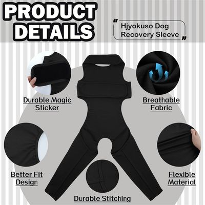 IntiMeg Ceinture de maintien des pattes du chien