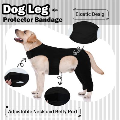 IntiMeg Ceinture de maintien des pattes du chien