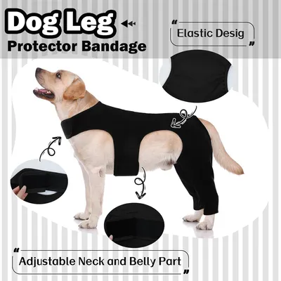 IntiMeg cinturón de sujeción para patas de perro