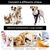 IntiMeg Ceinture de maintien des avant pattes du chien