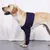 IntiMeg Ceinture de maintien des avant pattes du chien
