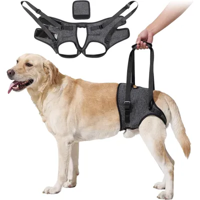 ZenPets Harnais de levage et soutien pour chiens