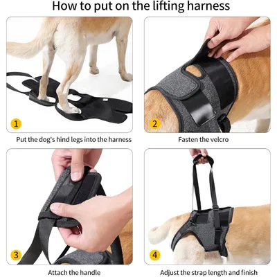 ZenPets Harnais de levage et soutien pour chiens