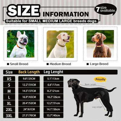 IntiMeg Ceinture de maintien des pattes du chien