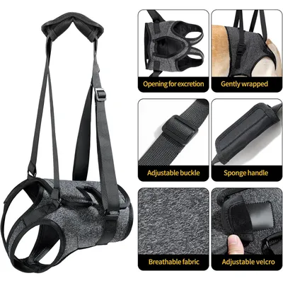 ZenPets Harnais de levage et soutien pour chiens