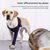 IntiMeg Ceinture de maintien des avant pattes du chien