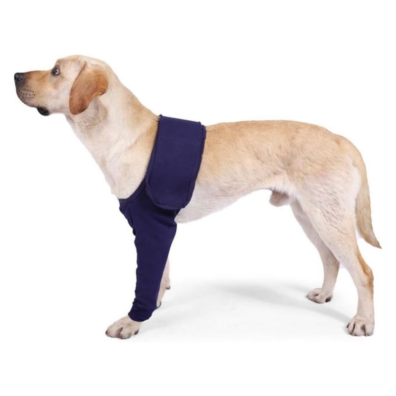 IntiMeg Stützgürtel für die Vorderpfoten des Hundes