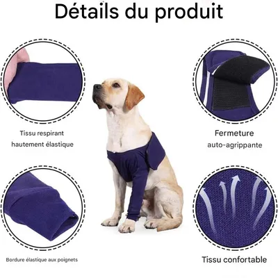 IntiMeg Ceinture de maintien des avant pattes du chien