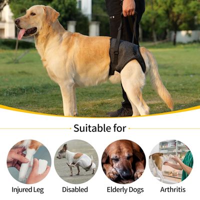 ZenPets Harnais de levage et soutien pour chiens