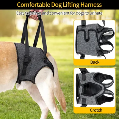 ZenPets Harnais de levage et soutien pour chiens