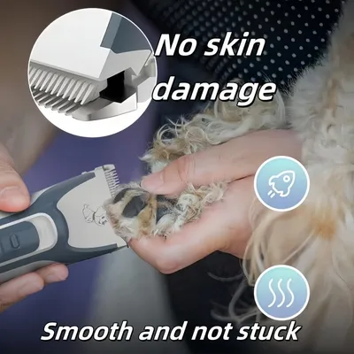 Tondeuse Chien Poil Long Epais Electrique sans Fil Kit