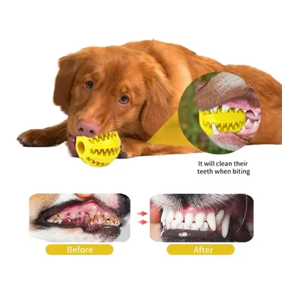 Petopia Balle de jeu pour chien