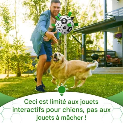 Pet Planet Chiens Balle avec Poignée