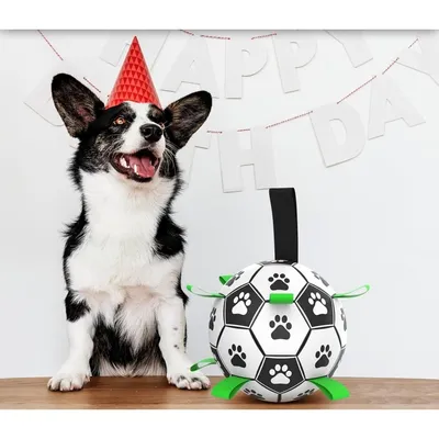 Pet Planet Chiens Balle avec Poignée