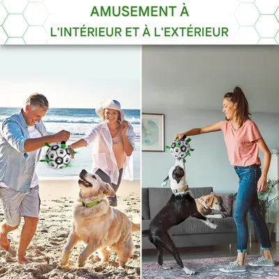 Pet Planet Chiens Balle avec Poignée