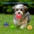 Pet Planet Chiens Jouet en Caoutchouc Naturel FunnyFacePack