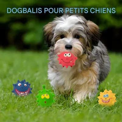Pet Planet Chiens Jouet en Caoutchouc Naturel FunnyFacePack