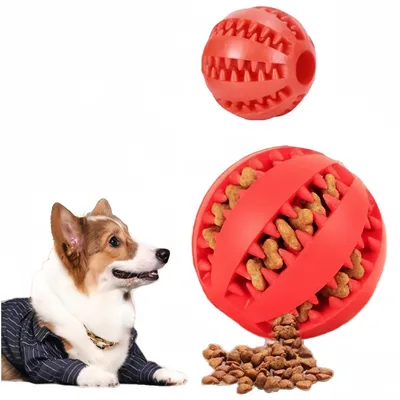 Petopia Balle de jeu pour chien