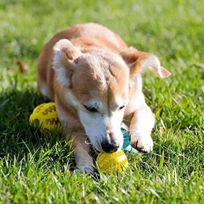 Petopia Balle de jeu pour chien