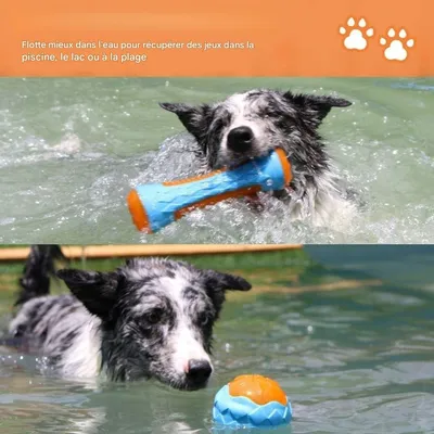 Pet Planet Chiens SplashFun Set de 4 Jouets Sonores