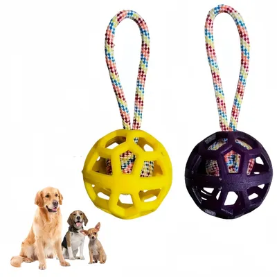 Pet Planet Chiens Happy Time Balle Avec Corde