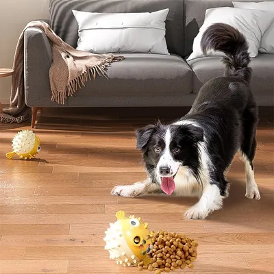 IntiMeg Jouet Ball en TPR pour chien - Forme de dauphin