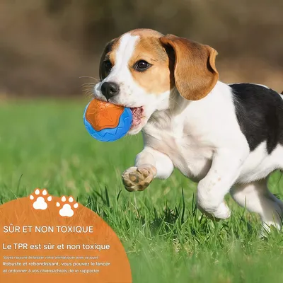 Pet Planet Chiens SplashFun Balle Sonore