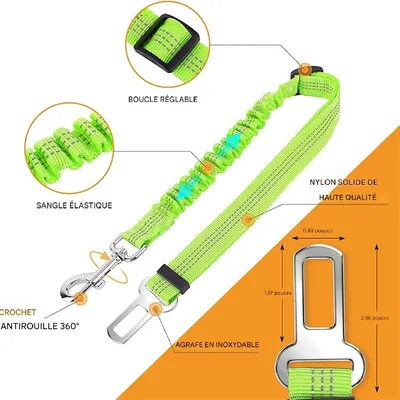 Petopia Ceinture de sécurité pour chien en voiture