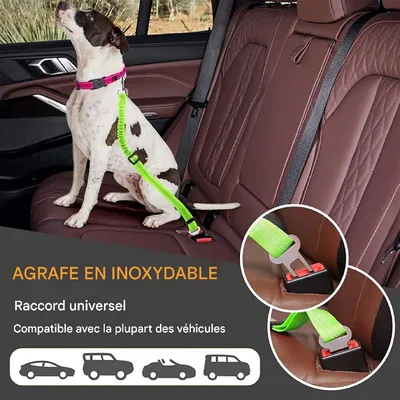 Petopia Ceinture de sécurité pour chien en voiture