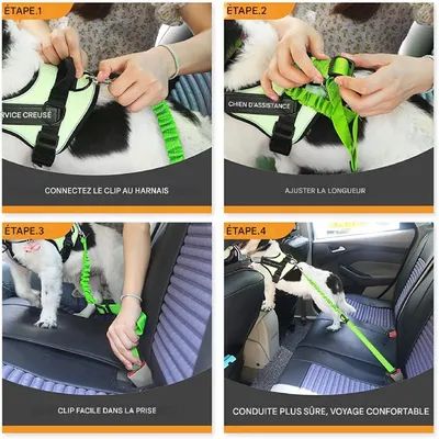 Petopia Ceinture de sécurité pour chien en voiture