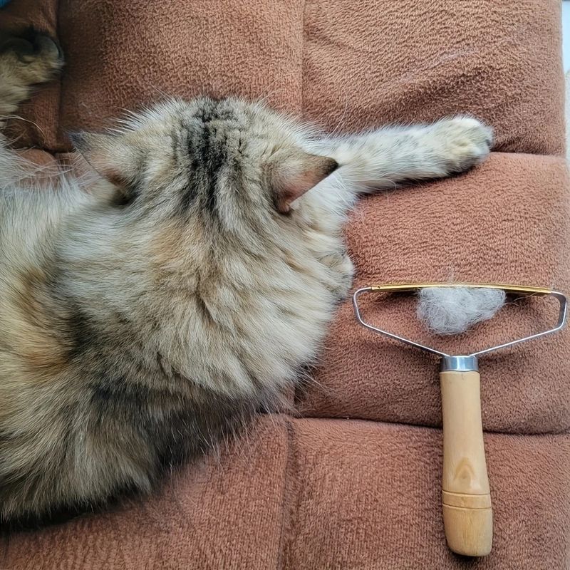 Pet Planet Brosse à poils double face pour chats et chiens