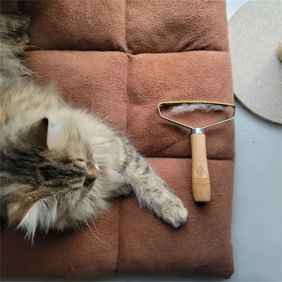 Pet Planet Brosse à poils double face pour chats et chiens