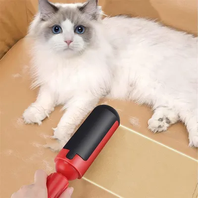 Pet Planet Brosse anti - poils pour chat
