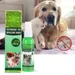 IntiMeg Parasitenspray für Hunde und Katzen 60 ml