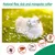 IntiMeg Spray antiparasites pour chien et chat 60ML