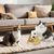 IntiMeg Boule à gratter en sisal pour chat