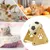 IntiMeg Boule à gratter en sisal pour chat