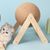 IntiMeg Jouet griffoir en sisal pour chat