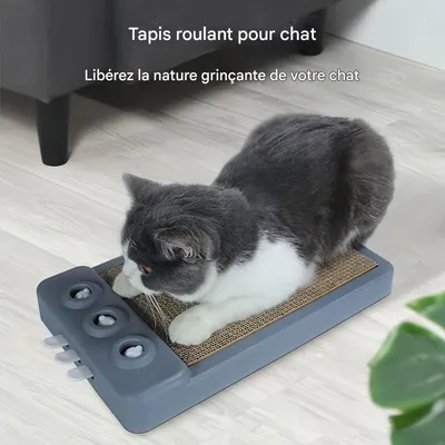 FurryFusion Griffoir pour chat
