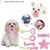 Pet Planet Chiots ChewDelight Set de 8 Jouets