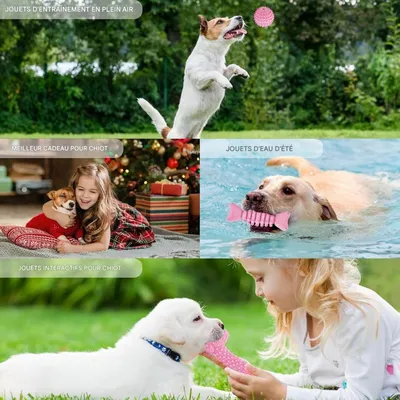 Pet Planet Chiots ChewDelight Set de 8 Jouets