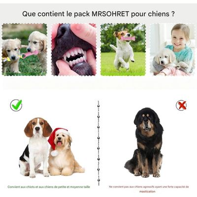 Pet Planet Chiots ChewDelight Set de 8 Jouets