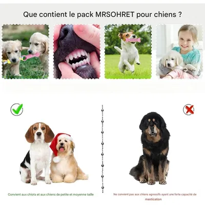 Pet Planet Chiots ChewDelight Set de 8 Jouets