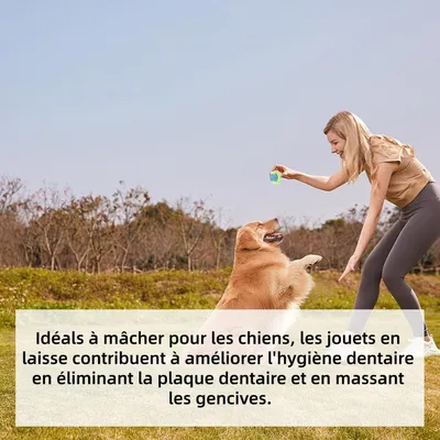 Pet Planet ZooVenture Indestructible Non Toxique Jouet Pour Chien 7Pcs