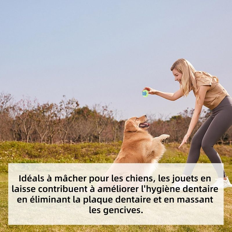 ZooVenture Indestructible Non Toxique Jouet Pour Chien 7Pcs