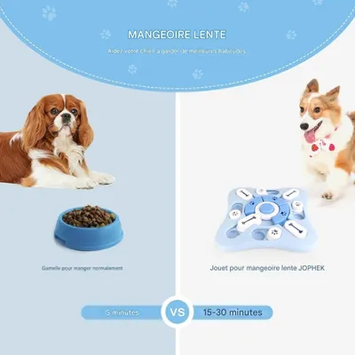 Pet Planet Chiens Jouet Ralentisseur de Mange