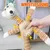 IntiMeg Jouet en peluche pour chien en forme d'ours