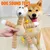 IntiMeg Jouet en peluche pour chien en forme d'ours