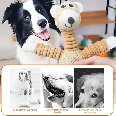 IntiMeg Jouet en peluche pour chien en forme d'ours