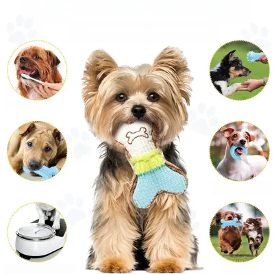 Pet Planet Chiots TeethingFun Set de 6 Jouets